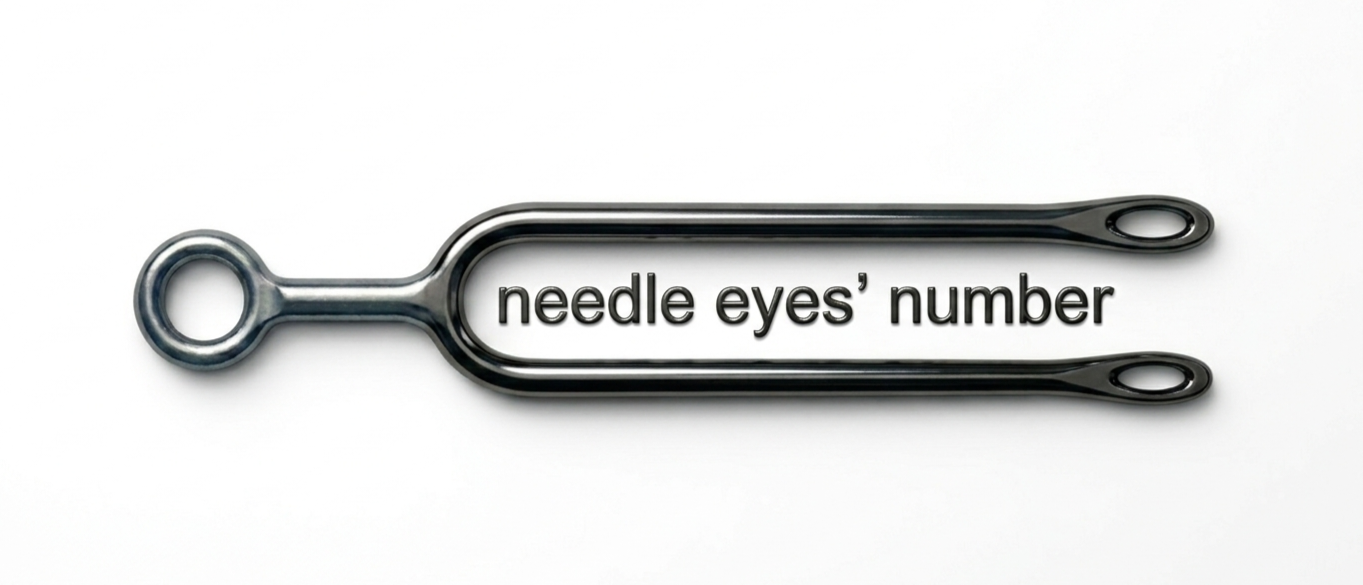 needle eyes' number